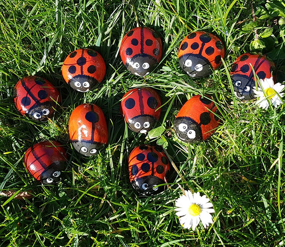 hand painted ladybird stones on the grass